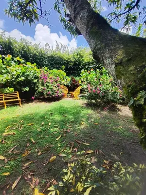 a park with a tree and a bench and flowers at Paraiso Hortensia Ecolodge in Santiago de los Caballeros