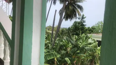 a view from the window of a house with palm trees at Hospedaje Villa Valencia en Los Patos in Los Patos