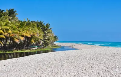 a beach with palm trees and the ocean at Hospedaje Villa Valencia en Los Patos in Los Patos