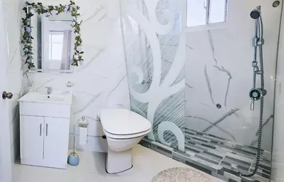 a bathroom with a toilet and a shower at Casa familiar in San Pedro de Macorís
