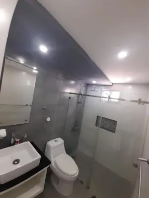a bathroom with a toilet and a shower and a sink at Hermoso apartamento Residencial madera I in Santiago de los Caballeros