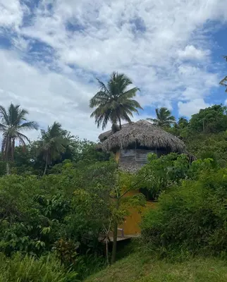 a small hut with a straw roof and palm trees at Tropical Cottage En Eco Casa Algana in El Limón