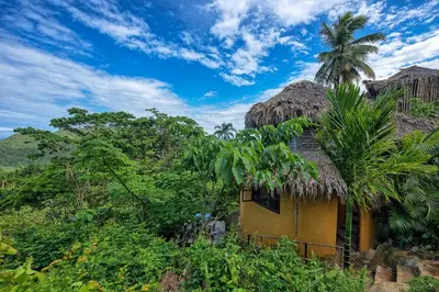 a house in the jungle with a palm tree at Tropical Cottage En Eco Casa Algana in El Limón