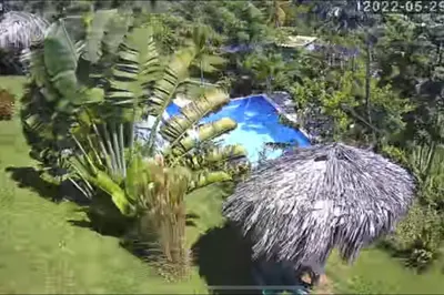 Gallery image of Eco Casa Algana La Bambulera in El Limón