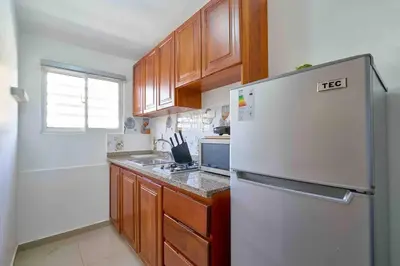 a kitchen with a white refrigerator and wooden cabinets at Studio in Los Jardines Sleeps 2 in Santo Domingo
