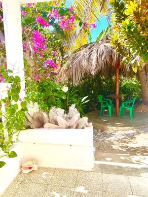 a garden with pink flowers and a table and chairs at Local vacation beach house in Santa Cruz de Barahona