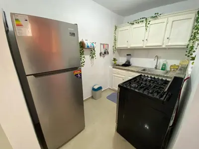 a kitchen with a stainless steel refrigerator and a stove at 8 Santiago Monumental Area Cozy and lovely to enjoy 3 bedrooms Apart transportation 24 hours in Santiago de los Caballeros