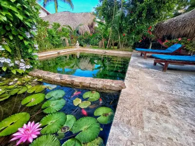 a koi pond in a garden with a bench at Jungle Hut near Beach - Nature Lovers in Las Terrenas