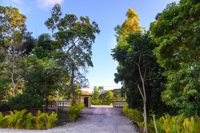 a road through a park with trees on either side at Hacienda La Huerta Puerto Plata, 1 BDR in San Felipe de Puerto Plata