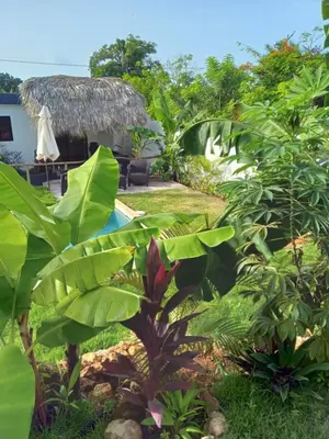 a view of the resort from the garden at BUNGALOWS COLIBRI in Las Galeras