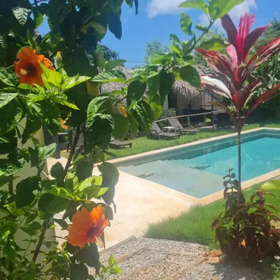 a view from the garden of a villa with a swimming pool at BUNGALOWS COLIBRI in Las Galeras
