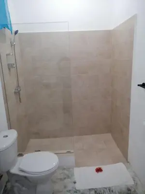 a bathroom with a toilet and a glass shower at Casa merengue in Las Terrenas