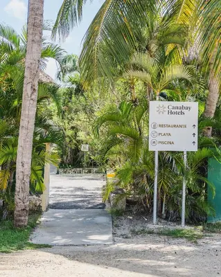 a street sign in front of some palm trees at Hard Rock Golf Cozy 1BR • Pool & Golf Views in Punta Cana