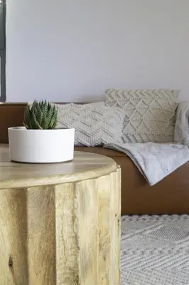 a cactus on a wooden table next to a bed at New Beachfront Penthouse in Las Terrenas