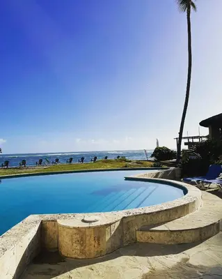 a swimming pool next to the beach with a palm tree at Agualina Kite Hotel Oceanfront Apartments in Cabarete
