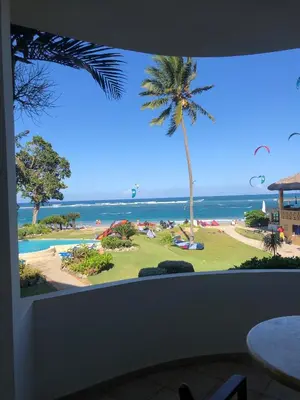a view from a window of a beach with a palm tree at Agualina Kite Hotel Oceanfront Apartments in Cabarete
