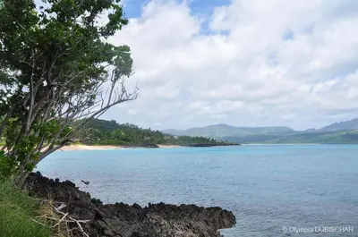 a view of the shoreline of a body of water at B&B Aparthotel La Isleta in Las Galeras