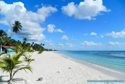 a white beach with palm trees and the ocean at Elegant Blue Sky View Lux at Juan Dolio Las Velas in Juan Pedro