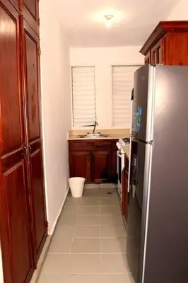 a kitchen with a refrigerator and a sink at Dominican Suite 12, Incredible 2 Bed Apt (DS12) in San Felipe de Puerto Plata