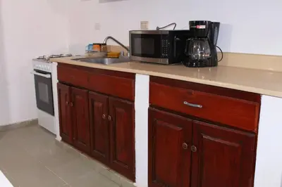 a kitchen counter with a sink and a microwave at Dominican Suite 23, Incredible 1 Bed Apt (DS23) in San Felipe de Puerto Plata
