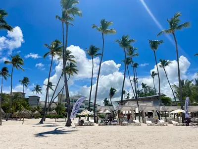 a group of palm trees on a beach at Luxury apto 3 rooms+pool+ campo de golf. Cocotal in Punta Cana