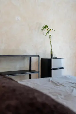a plant sitting on a shelf next to a bed at El Valle Villas in Santa Bárbara de Samaná