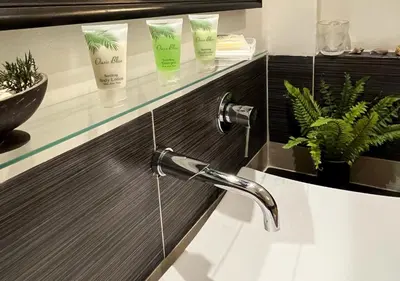 a bathroom sink with a faucet and some plants at Lovely house with private beach in Santa Bárbara de Samaná