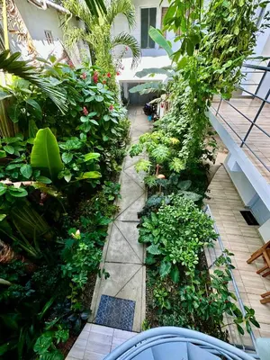a garden with plants and flowers in a building at Kite House Cabarete across Kite Beach in Cabarete