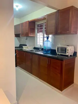 a kitchen with wooden cabinets and a sink and a microwave at Apartamento Esme in Santo Domingo