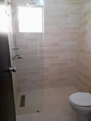 a bathroom with a shower with a toilet and a window at Apartamento Esme in Santo Domingo