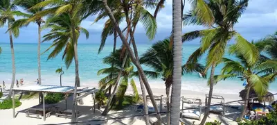a view of a beach with palm trees and the ocean at Private room overlooking the beach in Punta Cana