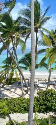 a view of a beach with palm trees at Private room overlooking the beach in Punta Cana