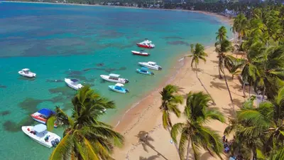 a group of boats on a beach with palm trees at Marina Bay in Las Terrenas