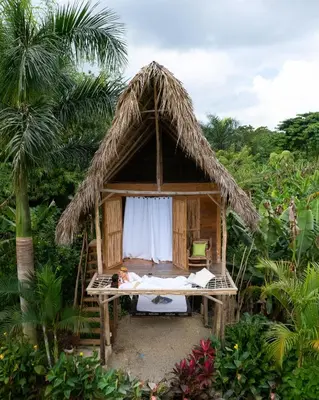 a bed in a straw hut in a forest at Samana Ecolodge in El Limón