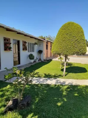 a yard with a tree and a house at Habitación Hogareña in Jarabacoa