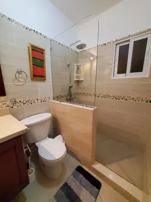 a bathroom with a toilet and a shower and a sink at Casa Linda beautiful Villa in Sosúa