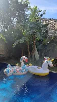 two inflatable ducks and a cow in a pool at Casita Chinola - Playa El Encuentro in Bombita