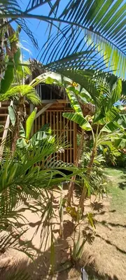 a palm tree in front of a house at Casita de Madera Encuentro in Bombita
