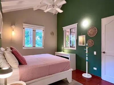 a bedroom with green walls and a bed and windows at PETRAKl HOMES in Las Galeras