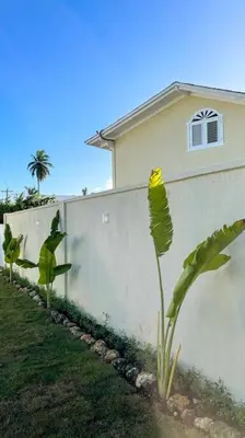 a yellow plant in front of a white wall at Casa Alegria Beach Cottage in Las Terrenas