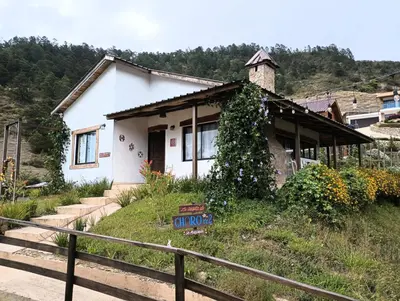 a small white house with a ivy growing on it at La Casita de Charo 2, vive y siente el amor, creando recuerdos de vida!! in Constanza