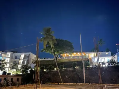a bridge with a palm tree and buildings at night at Samaná Suites Hotel by Habita in Santa Bárbara de Samaná