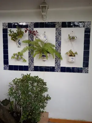 a wall with plants on it with blue and white tiles at Doña Mayra Aparta Hotel in Las Terrenas