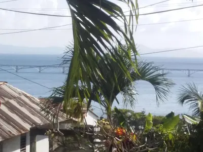 a palm tree in front of a view of the ocean at Best bed and breakfast in Samana Breakfast Included in Santa Bárbara de Samaná