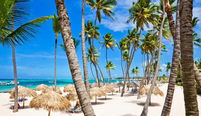 a beach with palm trees and the ocean at Beach Garden I F3 Luxury Condo in Punta Cana