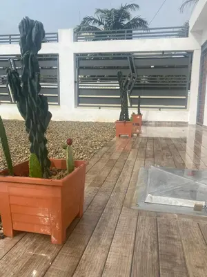two cacti in pots sitting on a wooden floor at Privada tipo cabaña Con amplio patio in Santiago de los Caballeros