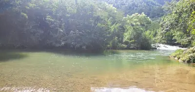 a river in the middle of a forest at Sunflower village villa girasoles in Jarabacoa