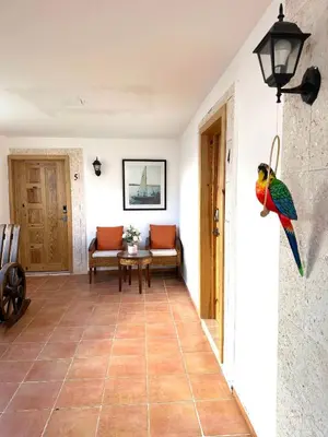 a parrot hanging on the wall of a room at Noe Hotel Punta Cana in Punta Cana