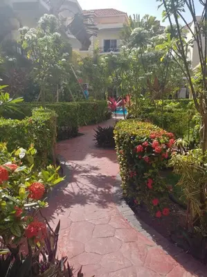 a garden with red flowers and a walk way at Dominican Art 2 Bedroom condo El Cortecito in Punta Cana