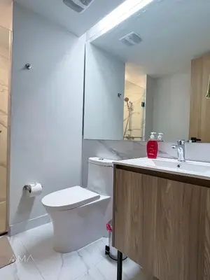a bathroom with a toilet and a sink at Hermoso refugio céntrico in Santo Domingo